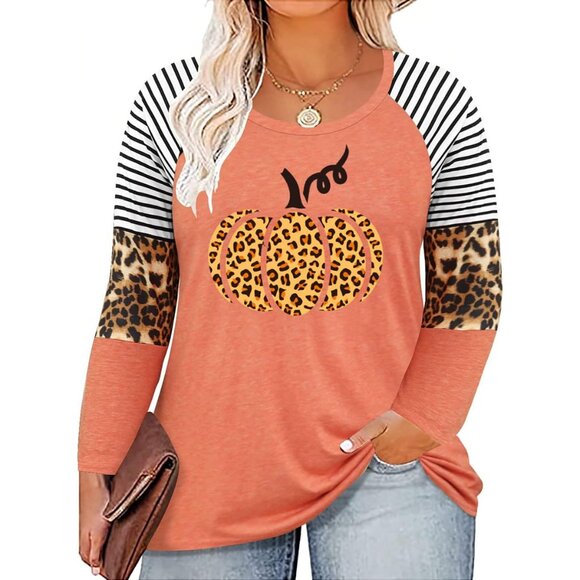Plus Size Long Sleeve Tops Women's Crewneck Casual Loose Fit Chic Top - Picture 1 of 3